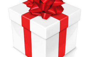 Bonnes fêtes de fin d'année