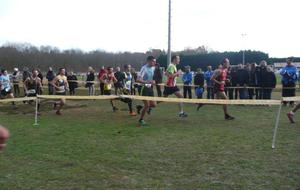 5666866266eaa_P1120497.jpg