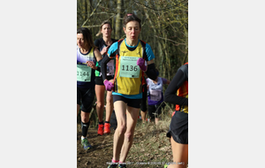 588715b22b3cb_IMG7039.JPG