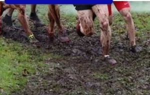 23/11/2025:CROSS D'AMBOISE (CHAMPIONNATS DEPARTEMENTAUX DE CROSS COURT)