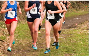 15/02/2026 :1/2 FINALE des CHAMPIONNATS de FRANCE de CROSS U16 à MASTERS à PONCHÂTEAU